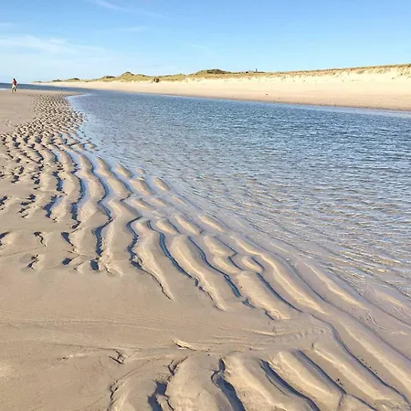 Silbermoewe Hörnum